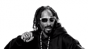 ten best viral videos