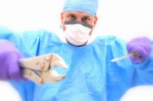 3892962709_a0b6342090