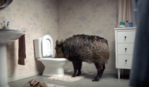 Canal-BETC-Christmas-ad