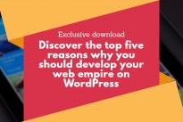 WordPress isn’t just for bloggers …..exclusive download
