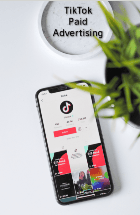 TikTok Paid Ads - The Next Level of Paid Media
